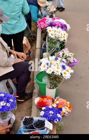 Die Rentner verkaufen Blumen in Moskau, Russland Stockfoto