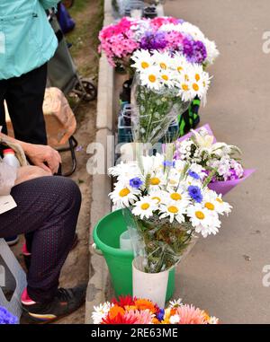 Die Rentner verkaufen Blumen in Moskau, Russland Stockfoto