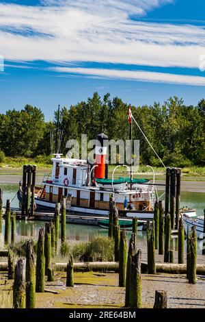 Der SS-Meister hat bei Ebbe an der Britannia-Schiffsanlegestelle in Steveston angelegt Stockfoto