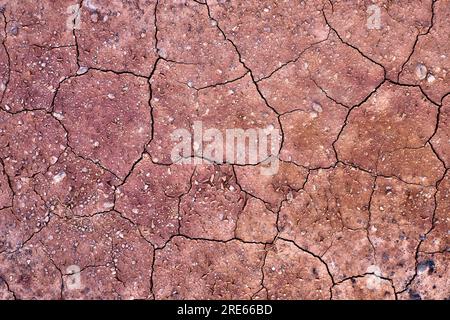 Gerissener trockener roter Boden, Herausforderungen des Klimawandels und der Klimakrise. Stockfoto