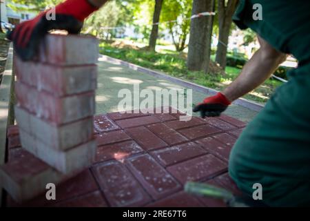 Ein Bauarbeiter kniet nieder, um Pflastersteine an einem sonnigen Tag zu legen. Stockfoto