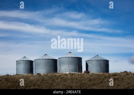 Kleine Metallkornsilos und leeres Feld im Spätwinter. In der Nähe von Pasco, Washington, USA. Stockfoto