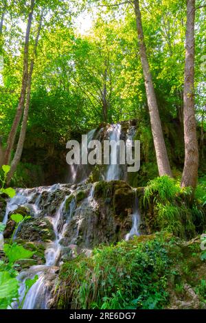 Wagen Sie sich in eine magische Welt der Waldwasserfälle, wo die Kunst der Natur atemberaubende türkisfarbene Seen enthüllt. Tauchen Sie ein in das ruhige B Stockfoto