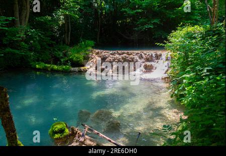 Wagen Sie sich in eine magische Welt der Waldwasserfälle, wo die Kunst der Natur atemberaubende türkisfarbene Seen enthüllt. Tauchen Sie ein in das ruhige B Stockfoto