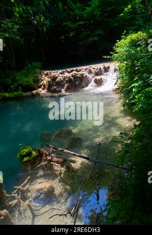 Wagen Sie sich in eine magische Welt der Waldwasserfälle, wo die Kunst der Natur atemberaubende türkisfarbene Seen enthüllt. Tauchen Sie ein in das ruhige B Stockfoto