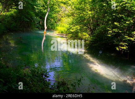 Wagen Sie sich in eine magische Welt der Waldwasserfälle, wo die Kunst der Natur atemberaubende türkisfarbene Seen enthüllt. Tauchen Sie ein in das ruhige B Stockfoto
