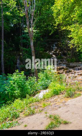 Wagen Sie sich in eine magische Welt der Waldwasserfälle, wo die Kunst der Natur atemberaubende türkisfarbene Seen enthüllt. Tauchen Sie ein in das ruhige B Stockfoto