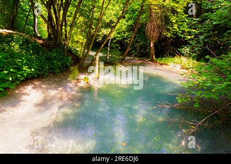 Wagen Sie sich in eine magische Welt der Waldwasserfälle, wo die Kunst der Natur atemberaubende türkisfarbene Seen enthüllt. Tauchen Sie ein in das ruhige B Stockfoto