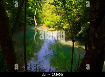 Wagen Sie sich in eine magische Welt der Waldwasserfälle, wo die Kunst der Natur atemberaubende türkisfarbene Seen enthüllt. Tauchen Sie ein in das ruhige B Stockfoto