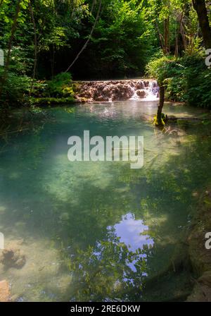 Wagen Sie sich in eine magische Welt der Waldwasserfälle, wo die Kunst der Natur atemberaubende türkisfarbene Seen enthüllt. Tauchen Sie ein in das ruhige B Stockfoto