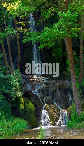 Wagen Sie sich in eine magische Welt der Waldwasserfälle, wo die Kunst der Natur atemberaubende türkisfarbene Seen enthüllt. Tauchen Sie ein in das ruhige B Stockfoto