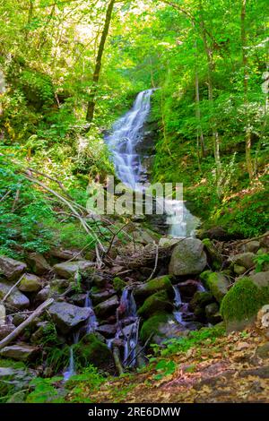 Wagen Sie sich in eine magische Welt der Waldwasserfälle, wo die Kunst der Natur atemberaubende türkisfarbene Seen enthüllt. Tauchen Sie ein in das ruhige B Stockfoto