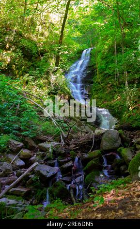 Wagen Sie sich in eine magische Welt der Waldwasserfälle, wo die Kunst der Natur atemberaubende türkisfarbene Seen enthüllt. Tauchen Sie ein in das ruhige B Stockfoto