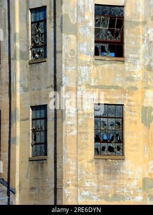 Die Fenster in einem alten verlassenen Gebäude in Texas sind kaputt und verwüstet. Das Fertigungsgebäude steht leer und wird immer schlechter. Stockfoto