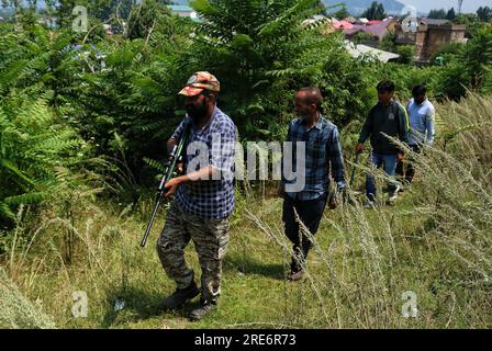 18. Juli 2023, Srinagar Kaschmir, Indien : die Beamten des Tierschutzministeriums zusammen mit einem Betäubungsgewehr bei dem Versuch, einen Leoparden im Hari Parbat-Gebiet von Srinagar zu fangen. Die Einheimischen in der Gegend von Srinagar, Hari Parbat, sagten, sie hätten einen Leoparden gesehen, der in der Gegend umherstreifte, was eine Panik unter den Menschen verursachte. Nach Angaben des Wildlife Department von Jammu und Kaschmir von 2006 bis Ende 2022 hat der Konflikt zwischen Mensch und Tier (HWC) in Kaschmir 242 Menschenleben gefordert, während bei solchen Vorfällen 2940 Menschen verletzt wurden. Am 18. Juli 2023 in Srinagar Kaschmir, Indien. (Foto: Firdous Nazir/Eye Stockfoto