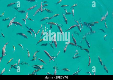 Angra dos Reis in Rio de Janeiro: Angeln Sie in der blauen Lagune von Big Island. Stockfoto