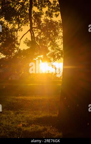 Starker Regen und Sonnenlicht neben dem Baum. Atemberaubende Aussicht auf die Regenzeit der Stadt. Sonnenuntergang bei Regenwetter. Herbststimmung Stockfoto