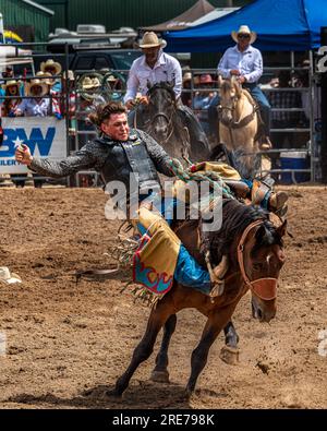 Amerikanisches Rodeo, das heute im Westen der USA und Kanada besonders beliebt ist. Aus der Arbeit mit Rindern. Stockfoto