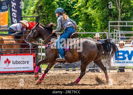 Amerikanisches Rodeo, das heute im Westen der USA und Kanada besonders beliebt ist. Aus der Arbeit mit Rindern. Stockfoto