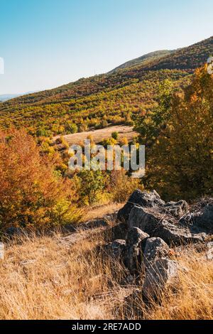 Lebhafte Herbstfarben in der bulgarischen Landschaft in der Nähe der Stadt Logodazh Stockfoto