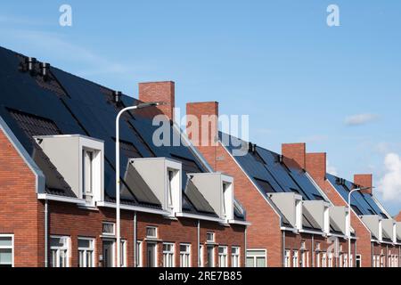 Moderne neue soziale Mietwohnungen in Lemmer, Niederlande, mit Sonnenkollektoren auf den Ziegeldächern. Nachhaltige Energie. Stromerzeugung Stockfoto
