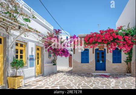 Antiparos, Griechenland - Juni 23 2023: Traditionelle weiß getünchte Häuser in Kopfsteinpflastergasse mit Bougainvillea-Bäumen. Stockfoto