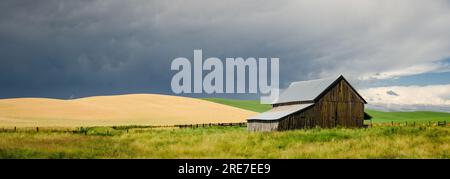 Panoramablick auf eine kleine verwitterte Scheune, Weide und sanfte Hügel mit reifendem Weizen im Juli. Whitman County, Washington, USA. Stockfoto