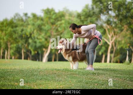 Frau, die am Sommermorgen mit dem park spaziert und den samoyerten Hund klopft Stockfoto