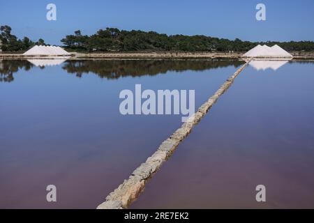 Salinas de Sa Vall o de la Colonia de Sant Jordi son las segundas más Antiguas del mundo (siglo IV ein. C.), Ses Salines, Mallorca, Balearen, Spanien. Stockfoto