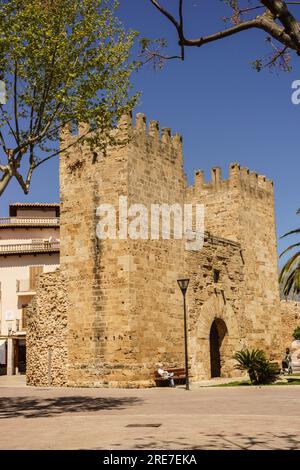 puerta de Xara,- puerta del Moll-, plaza Carles V, muralla medieval, siglo XIV, Alcudia, Mallorca, islas baleares, Spanien Stockfoto