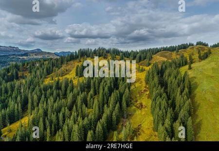 Die Alpenregion um den Riedbergpass im Herbstallgaeu von oben Stockfoto