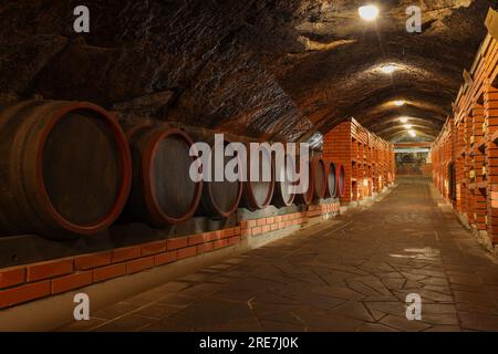 Viele Fässer Wein werden im Keller gelagert Stockfoto