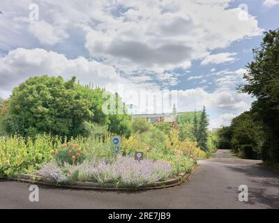 Garten in Murray Edwards (ehemals New Hall), nur für Frauen, College, University of Cambridge, England. Stockfoto