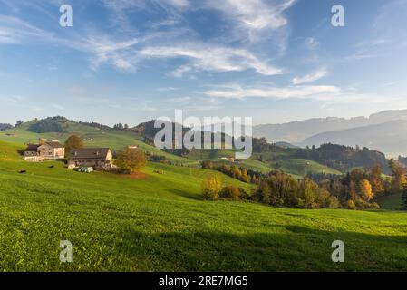 Hügelige Berglandschaft mit Wiesen und Bauernhäusern in den Appenzellalpen im Herbst, Appenzellerland, Kanton Appenzell Innerrhoden, Schweiz Stockfoto