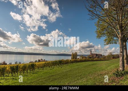 Wallfahrtskirche Birnau am Bodensee mit Weinbergen im Herbst, Uhldingen-Mühlhofen, Oberschwaben, Baden-Württemberg, Deutschland Stockfoto