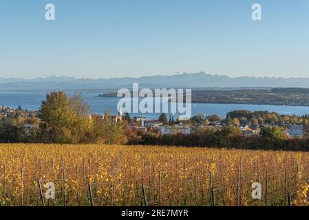 Blick über die Weinberge auf den Bodensee und die Schweizer Alpen mit Saentis, Ueberlingen, Oberschwaben, Baden-Württemberg, Deutschland Stockfoto