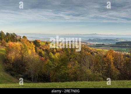 Panoramablick über die herbstliche Vulkanlandschaft Hegau, den Bodensee am Horizont und die Schweizer Alpen, Baden-Württemberg, Deutschland Stockfoto