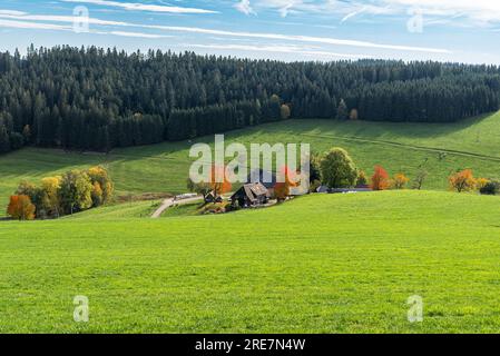 Bauernhaus in Herbstlandschaft in Jostal bei Titisee-Neustadt, Schwarzwald, Baden-Württemberg, Deutschland Stockfoto