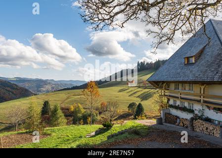 Historisches Schwarzwald-Bauernhaus in Muggenbrunn bei Todtnau, Schwarzwald, Baden-Württemberg, Deutschland Stockfoto