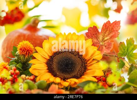 Herbstleben mit Obst, Blumen und Gemüse der Saison auf Holzhintergrund. Stockfoto