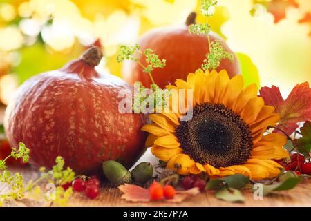 Herbstleben mit Obst, Blumen und Gemüse der Saison auf Holzhintergrund. Stockfoto