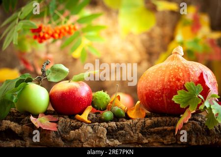 Herbststille mit Kürbis, Äpfeln, Pilzen und herbstlicher Natur. Stockfoto