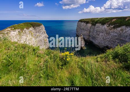 Blick von der Klippe - eine Bucht und einen Meeresboden in der Nähe von Flamborough Head. An dieser atemberaubenden Küste leben Tausende Seevögel, die ihr Nest bauen Stockfoto