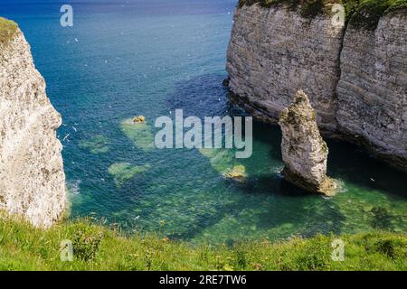 Blick von der Klippe - eine Bucht und einen Meeresboden in der Nähe von Flamborough Head. An dieser atemberaubenden Küste leben Tausende Seevögel, die ihr Nest bauen Stockfoto