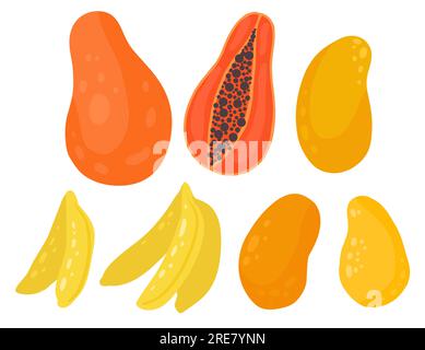 Vektorsatz tropischer Früchte, vom Hintergrund isoliert. Sammlung von flacher saftiger Mango, Papaya, Bananen. Designelement für Menüs, Rezepte und Aufkleber Stock Vektor