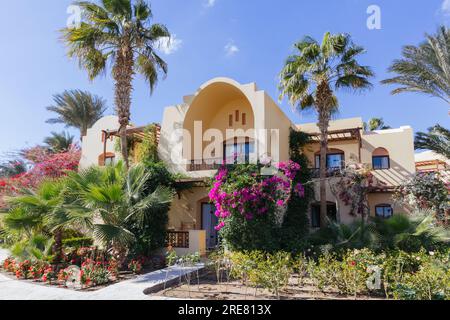 Das Äußere eines Hotels in Marsa Alam, Ägypten, ist von hellen Lockenblumen und Palmen umgeben. Stockfoto