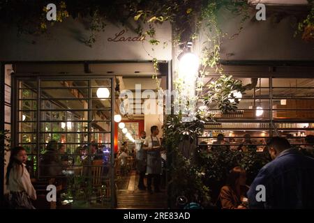 Lardo Restaurant in Mexico City, Mexiko Stockfoto