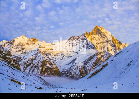 Sternenhimmel über Machhepuchare im Annapurna Heiligtum - Nepal, Himalaya Stockfoto