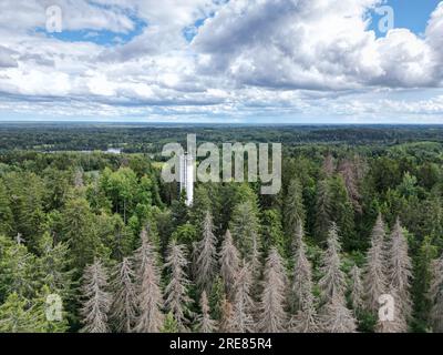Der Suure Munamae-Aussichtsturm in Estland aus der Vogelperspektive Stockfoto