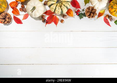 Kürbisse mit Herbstfärbung rot, gelb, orange Blätter, Nüsse, Eicheln, Herbst Waldbeeren, Zapfen auf weißem Brett Holztisch. Herbsternte Tabl Stockfoto